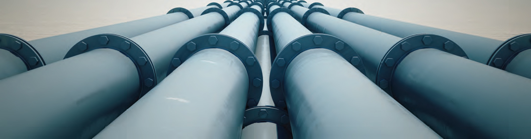 Proturvac S.A. de C.V.