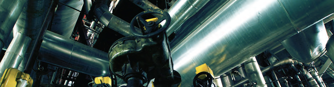 Proturvac S.A. de C.V.